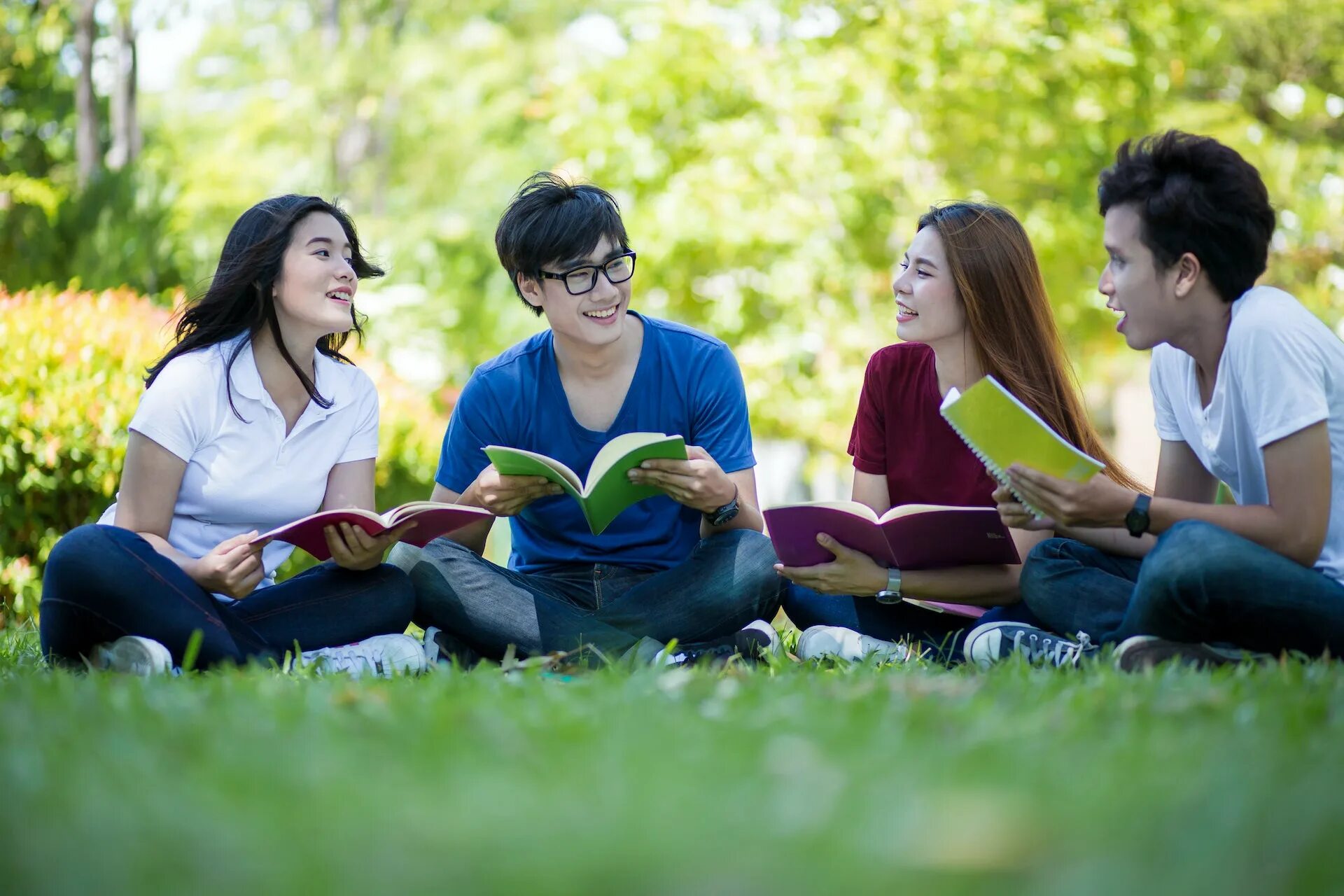 Student park. Общение студентов. Студенты на лужайке. Студенты сидят на траве. Группа студентов.