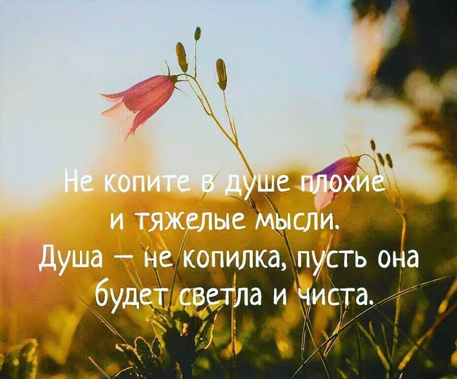 Стали мыслями мыслями текст