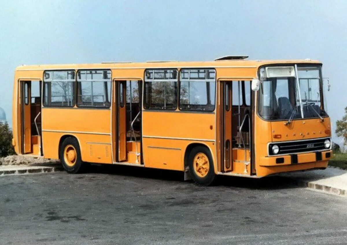 Автобус икарус 260. Икарус 260.00. икарус 260.06. икарус 260.01.