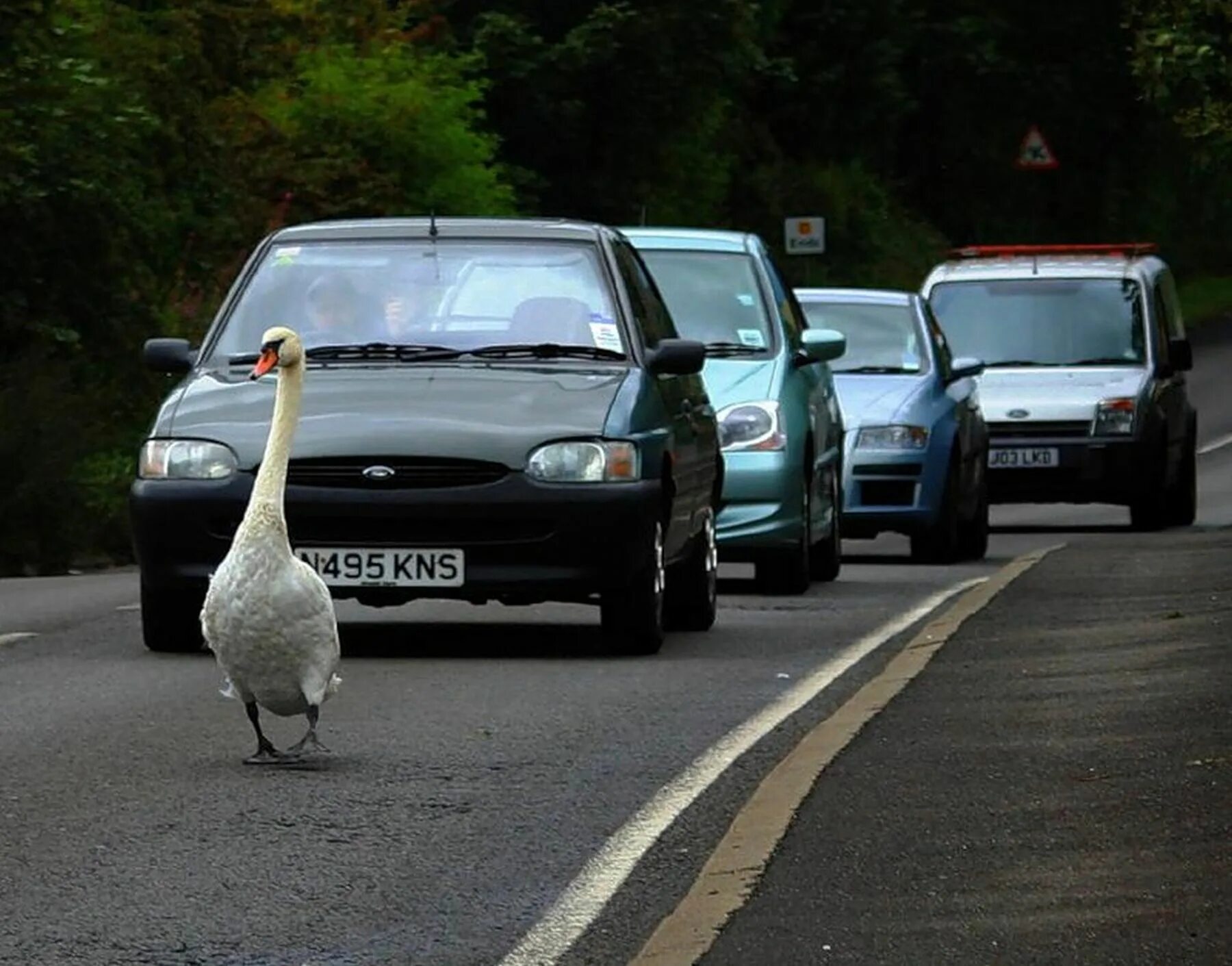 анекдот про встречку на дороге. ехали придурки. дебилы на дороге прикол. ехали придурки. чудаки фильм 2002.