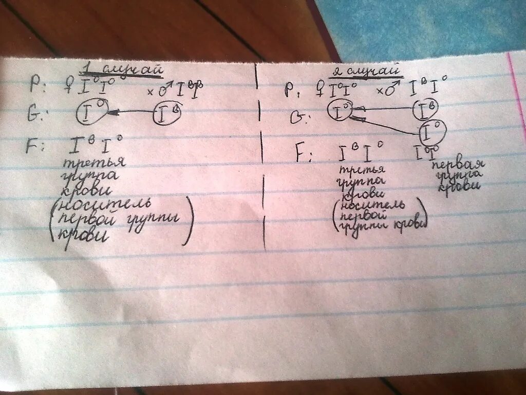 Если мать имеет группу крови. У мамы 3 группа крови. У матери 2 гетерозиготная группа крови у отца 3. У матери вторая гетерозиготная группа крови. IV группа крови.