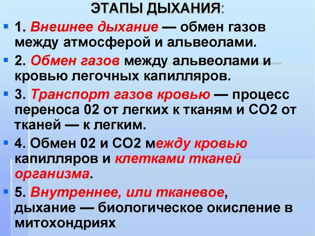 Пояснение газов. Этапы процесса дыхания. Перечислите фазы дыхания.. Каковы этапы процесса дыхания. Перечислите этапы дыхания.