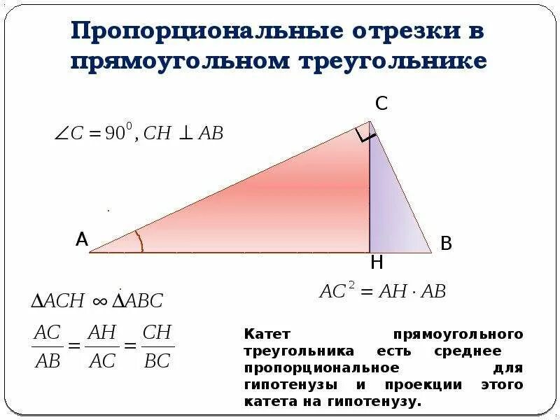 Пропорциональные отрезки это отрезки из которых можно. Пропорциональные отрезки в прямоугольном треугольнике формулы. свойство пропорциональности отрезков в прямоугольном треугольнике. таблица пропорциональных отрезков в прямоугольном треугольнике. формулы пропорциональных отрезков в прямоугольном треугольнике.