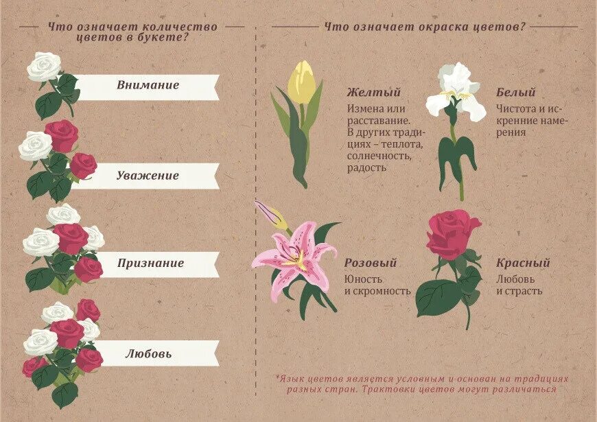 Color сколько держать. Количество цветов в букете значение. Что означает цвет роз. Цветы обозначение цветов. Колличестве цветов в букете.