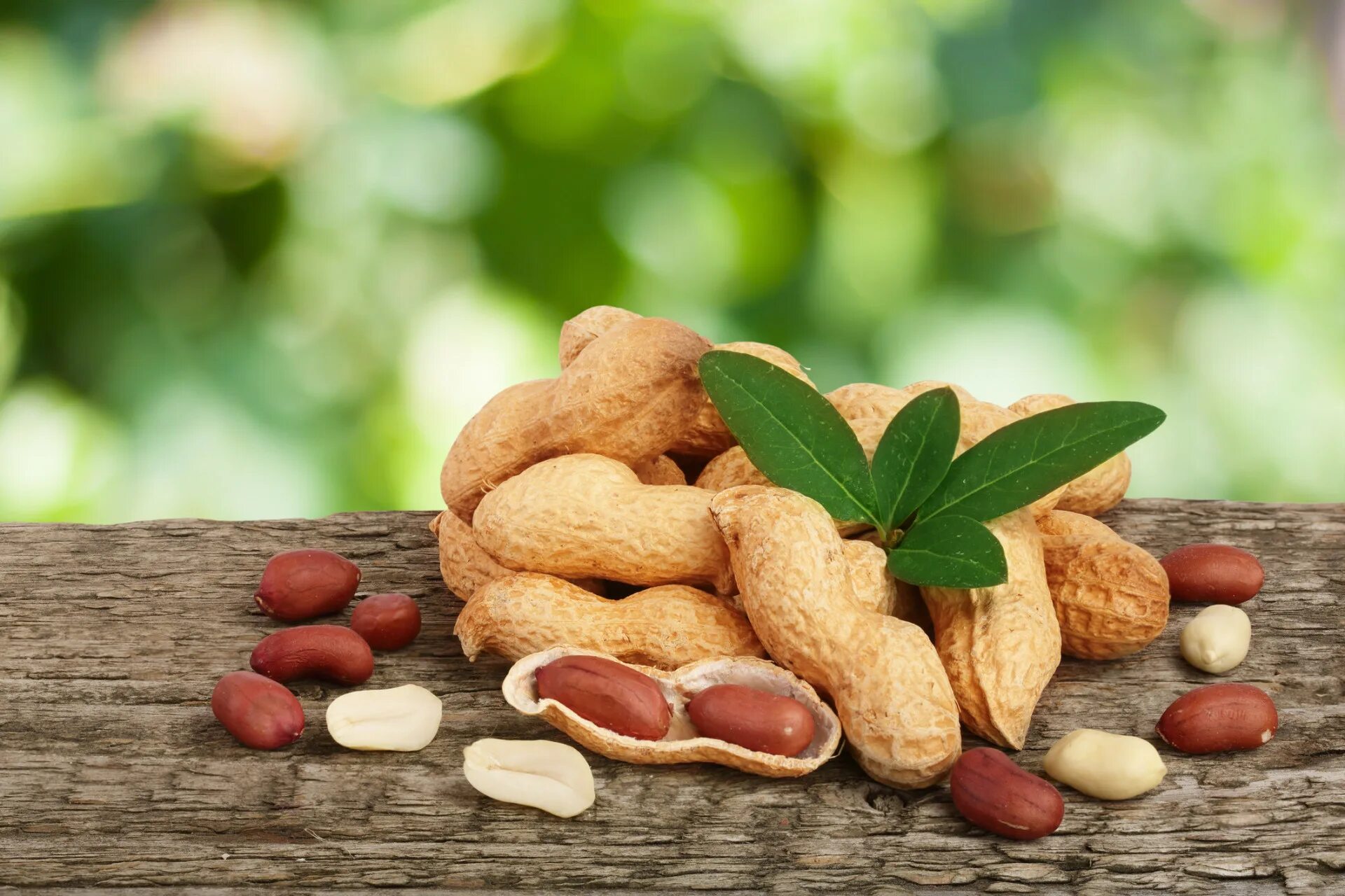 Диабет 2 типа орехи можно. Земляной орех арахис. Арракис. Ядро арахиса. Орехи при диабете.