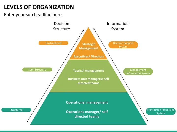 Levels of grammatical Organization. The Levels of grammatical Organization РРТ. Grammatical Levels of language. SCO уровни.