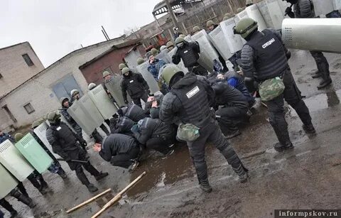 Бунт очевидцев