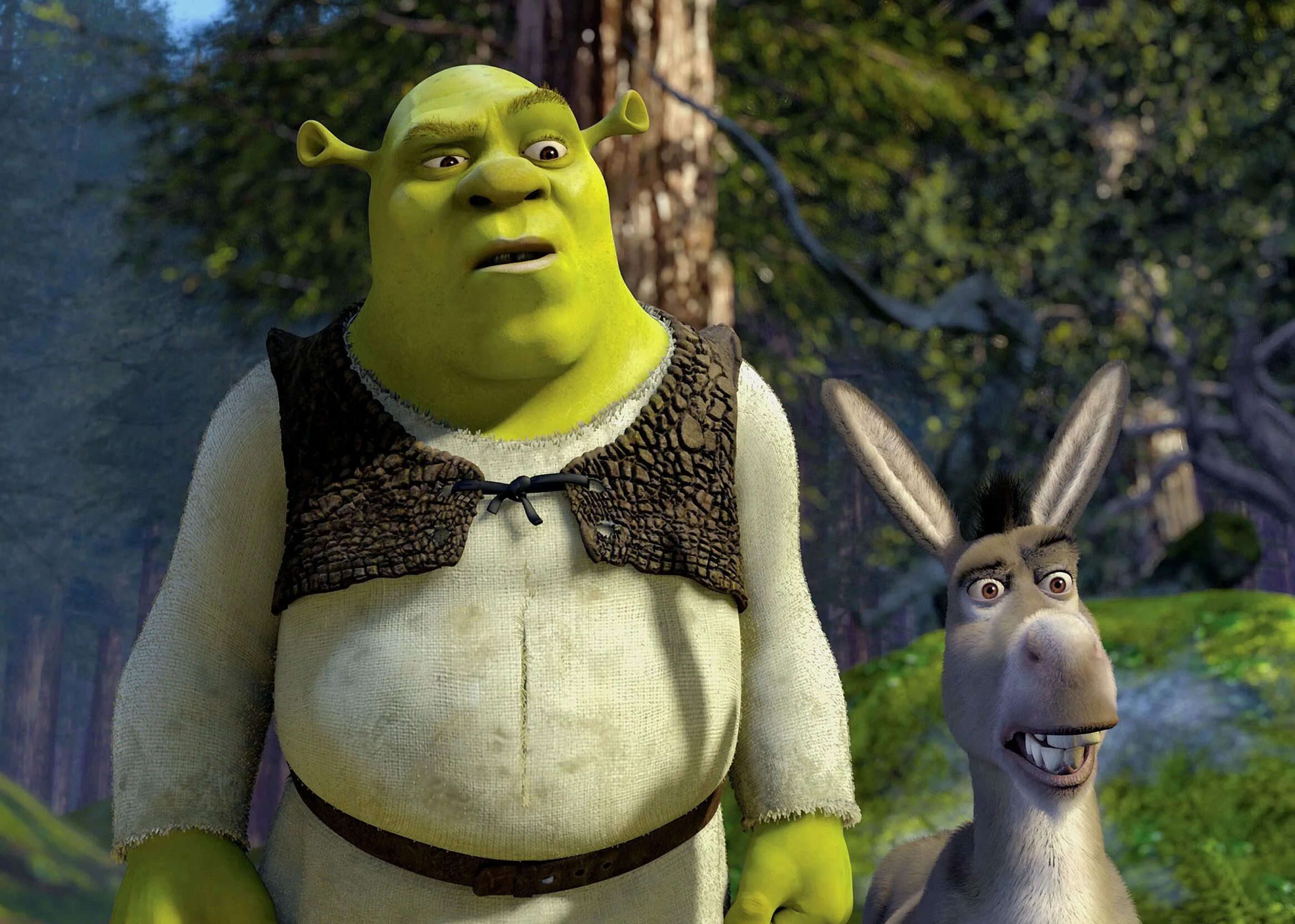 Кот в сапогах и осел. Шрек 2 финал. Суть мультика шрек. Шрек мультфильм 2001 осел. Шрек дримворкс.