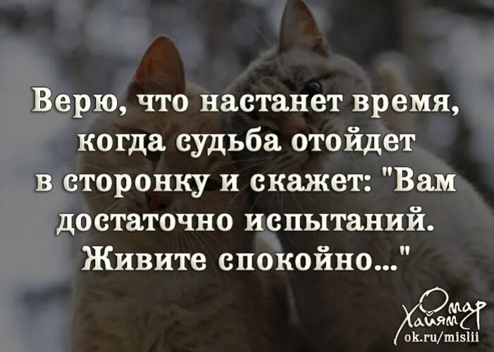 Статус прошел год. Высказывания о трудностях в жизни. Статусы о преодолении трудностей. Афоризмы про трудности. Цитаты про испытания в жизни.