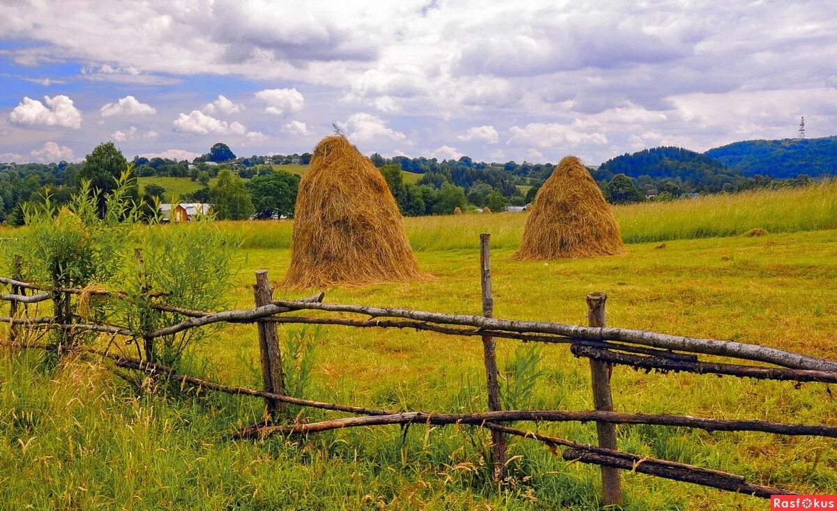 Просёлочная дорога в поле. Естественное поле. Красивый закат в деревне. Сливовая деревня. Село кишлак поле.