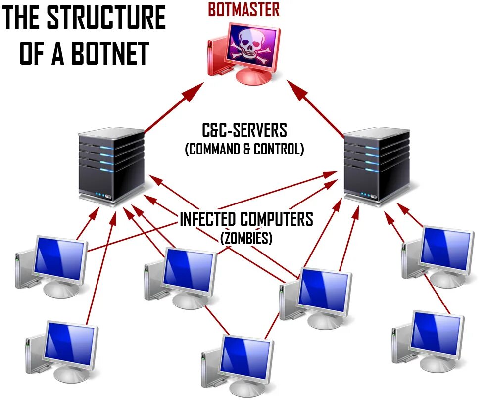 Безопасность пользователей компьютеров. Ботнет. Ботнет вирус. Вирус бот сеть. Компьютерный вирус ботнет.