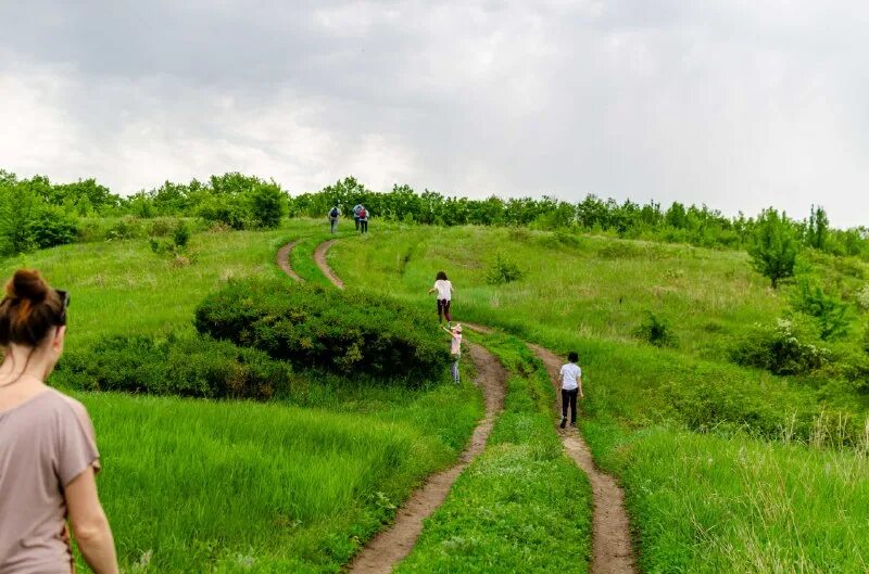 Скорость идущего человека. Спортивные люди. 3км пешком. 3км пешком. Мужчина бежит.