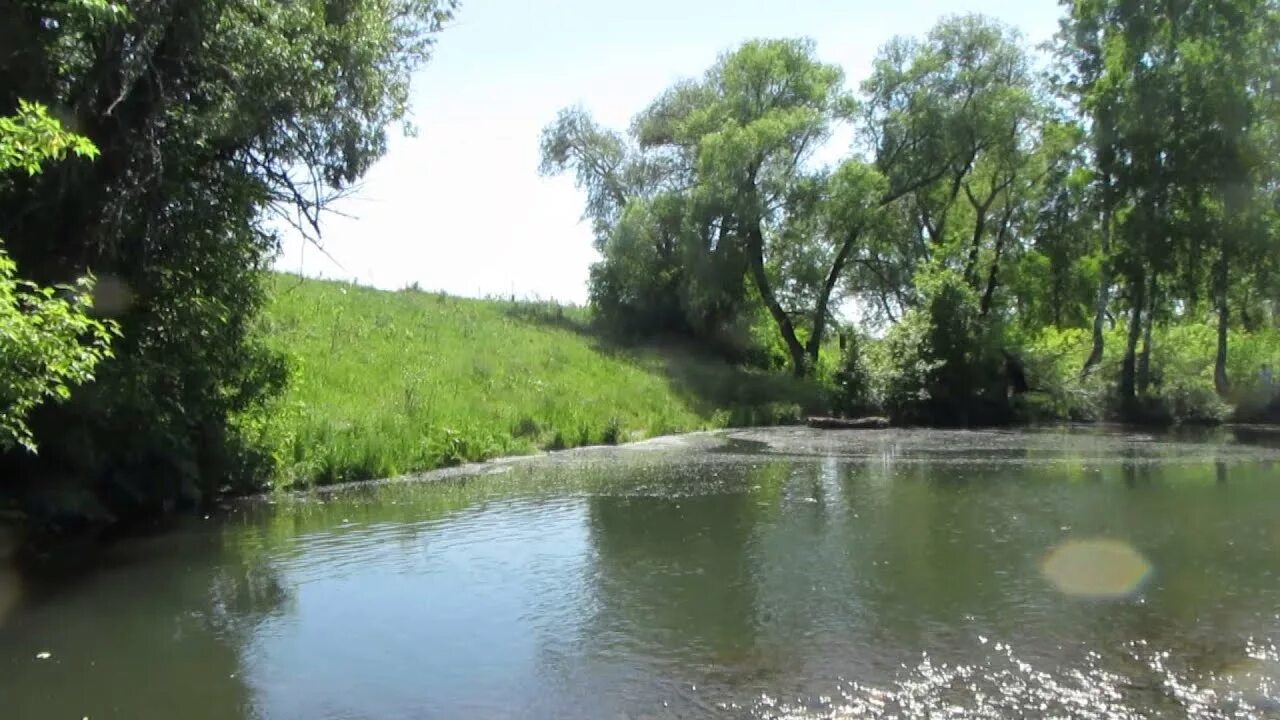 Село Кокши Советский район Алтайский край. Озеро большое Лазурное село Кокши. Озеро Кокша Алтайский край. Кокши Лазурное озеро Алтайский край. Погода кокши алтайский край