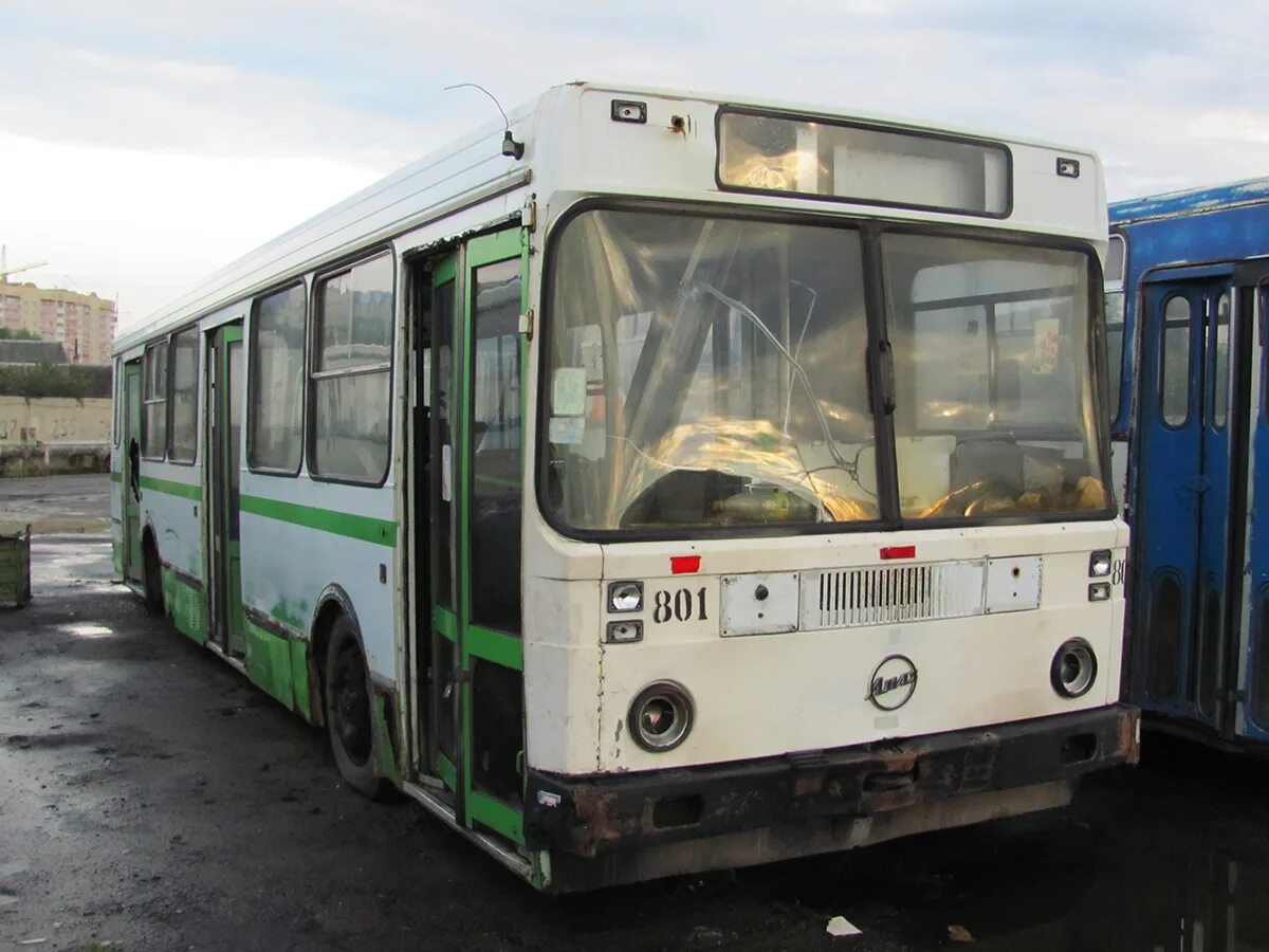 Маршрут 801 автобуса москва. Лиаз-5292 автобус. 60 омси. Лиаз-4292. Автобус сосновый бор купчино.