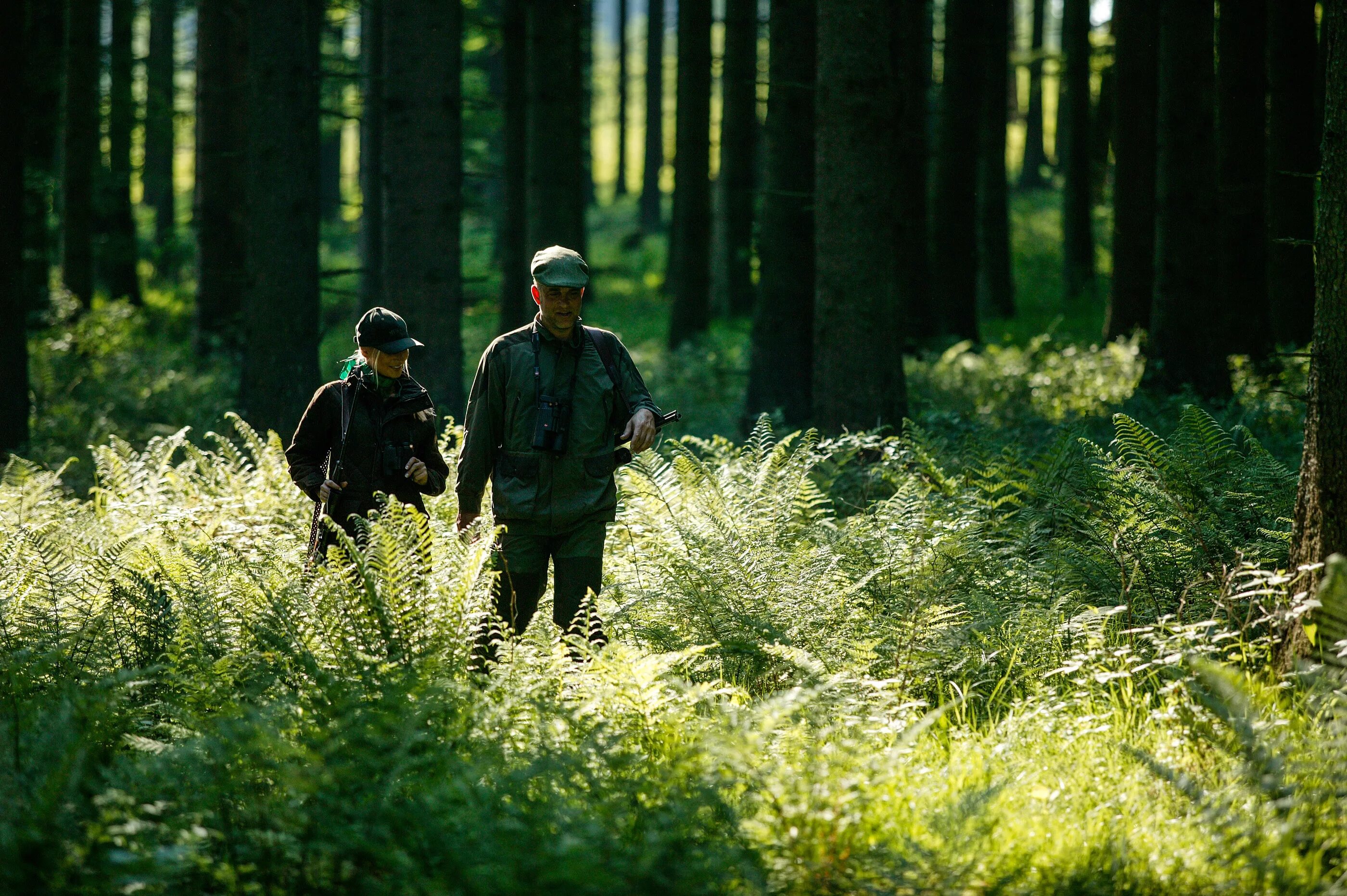 Форест Хантер. Forest Hunter город. Hunter in the Forest. Hunting Forest.