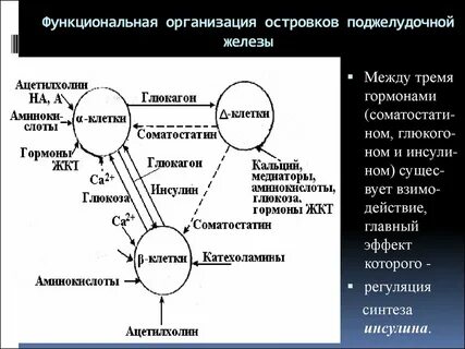 Между тремя основными