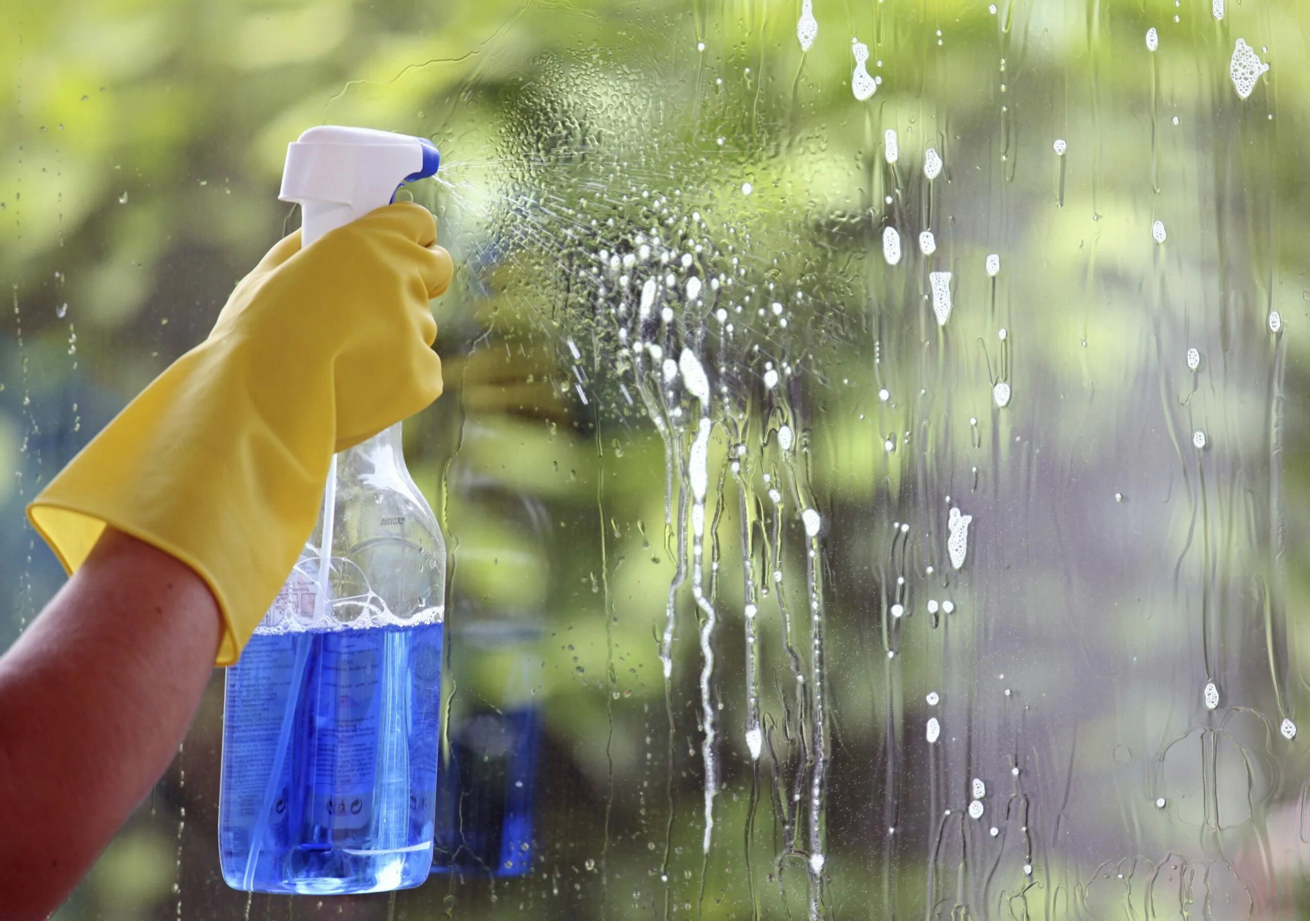 Мытьё окон девушка. Помыть окна весной. Мойка окон Shutterstock. Мытье окон фон. Wash windows