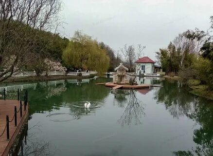 Оживший парк южные культуры
