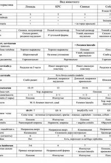 Сравнительная характеристика позвоночных животных