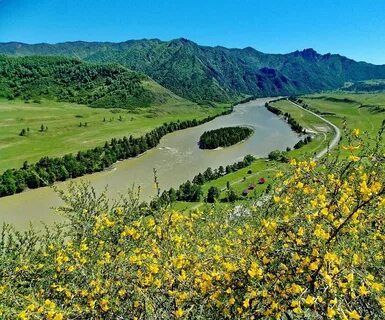 Че чкыш горный алтай