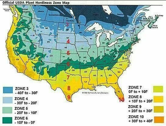 Plant zone. Зона морозостойкости USDA. Hardiness Zone Map. Климатических зонах 2-3 USDA. Зона USDA 3.