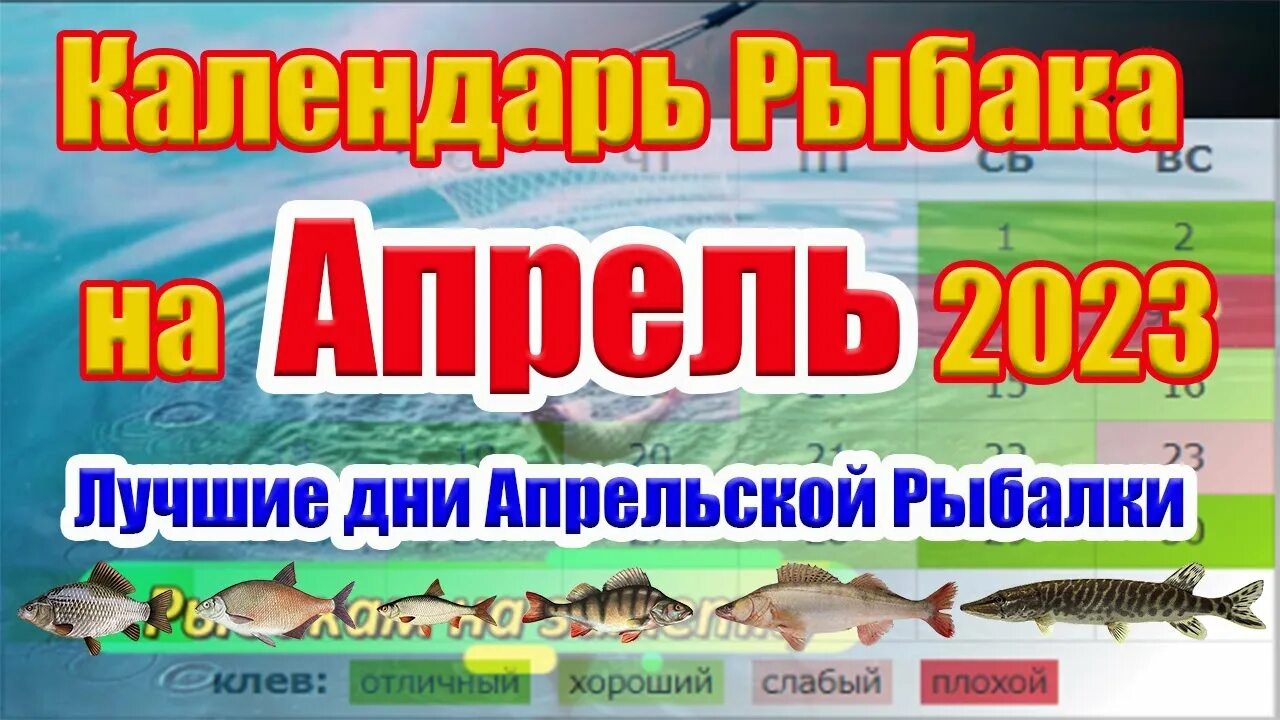 Календарь клева рыбы на апрель. Календарь рыбака. Календарь рыбака 2023. Рыболовный лунный календарь. Лунный календарь рыболова на апрель 2023г.