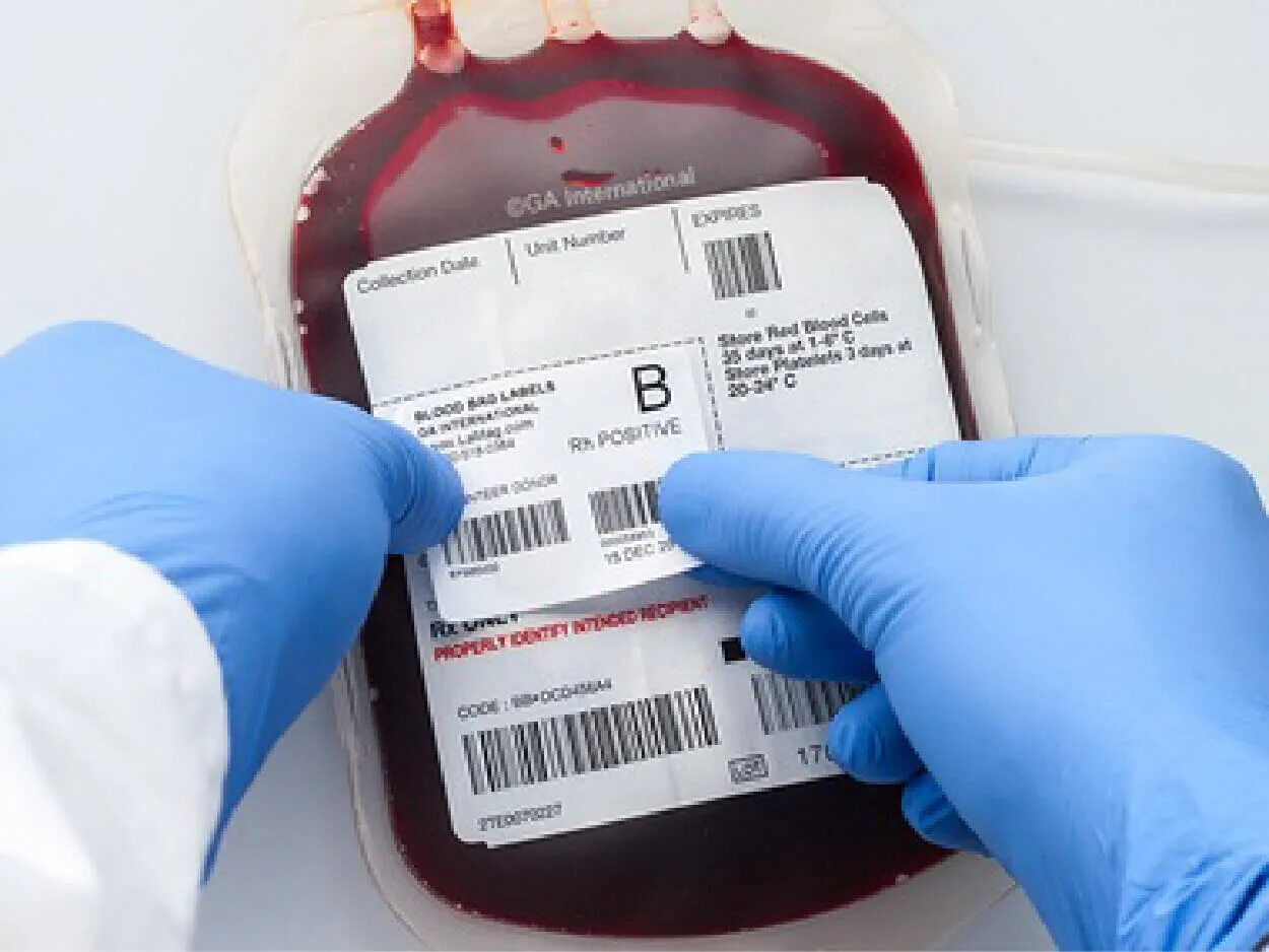 Этикетка пакета с кровью. Откуда берет кровь на группу крови