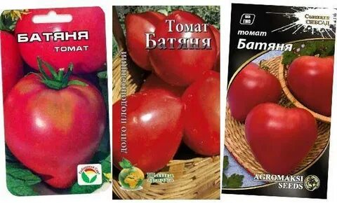 Характеристика томата батяня описание и отзывы