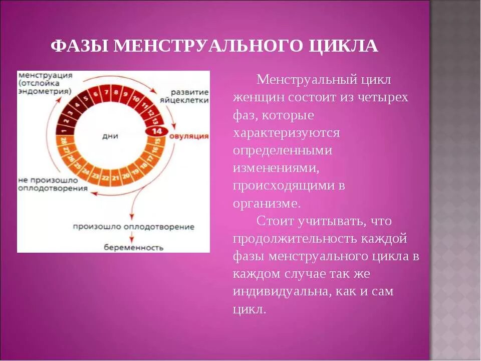 Ранняя фаза менструационного цикла что это. Как называется фаза цикла на 3 день месячных. 1 Фаза цикла, как называется. 2 Фаза цикла как называется. Второй цикл менструационного цикла