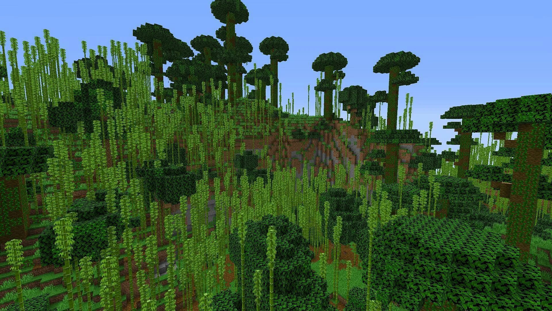 Minecraft jungles. Биом джунгли в майнкрафт. Бамбуковый биом в майнкрафт. Майнкрафт биом тропики. Майнкрафт биом Jungle Hills.