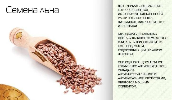 Семена льна для желудка. Для чего принимают семена льна. Для чего принимают семена льна. Семена льна. Схема приема семян льна.