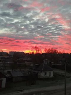 Восход брянск сегодня