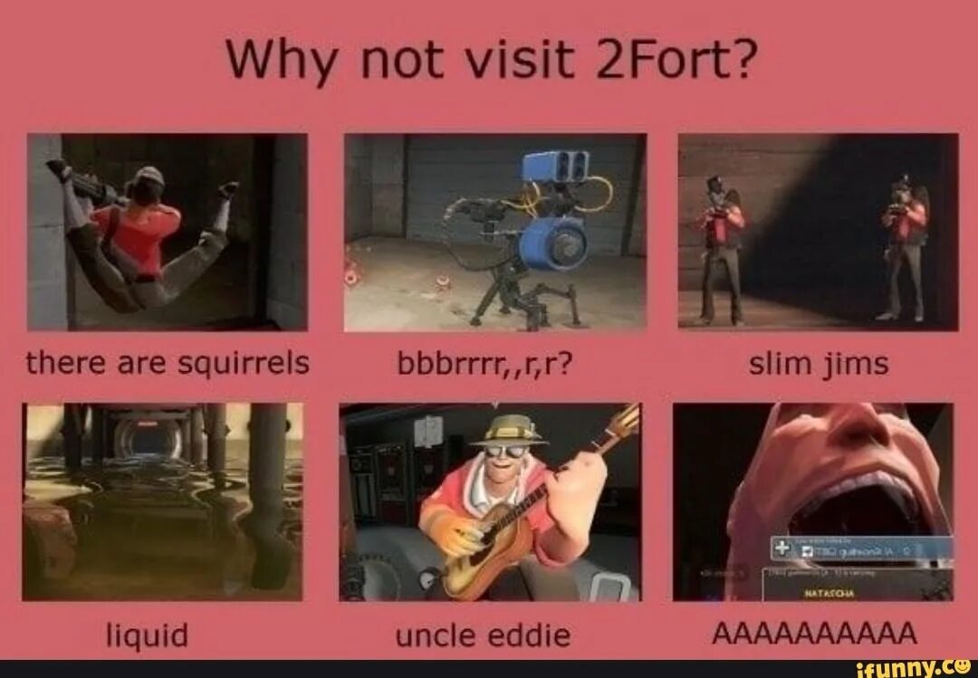 Why you not visit peter. Team fortress 2 memes. форт мем. team fortress 2 мем птица. not visited.