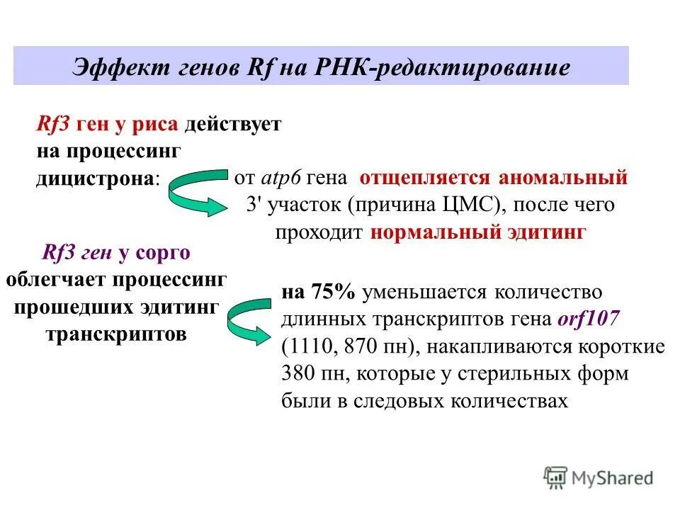 Гены пыльцы. Редактирование РНК. Эффект Гена. Формы ЦМС. Цитоплазматическая мужская стерильность.