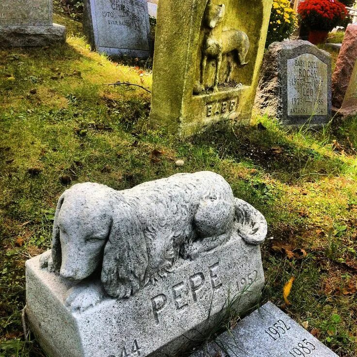 Pet cemetery. Кладбище Лиски Pet Cemetery. Надгробие для собаки. Могилки животных.