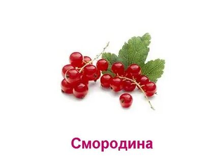 Слова связанные с ягодами
