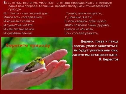 Стихотворение красота что дарит нам природа