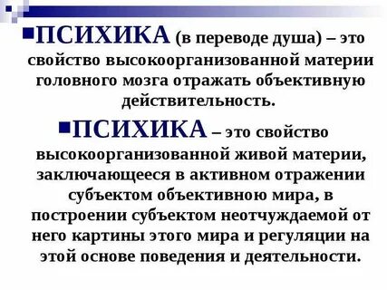 Психика свойство высокоорганизованной материи отражать