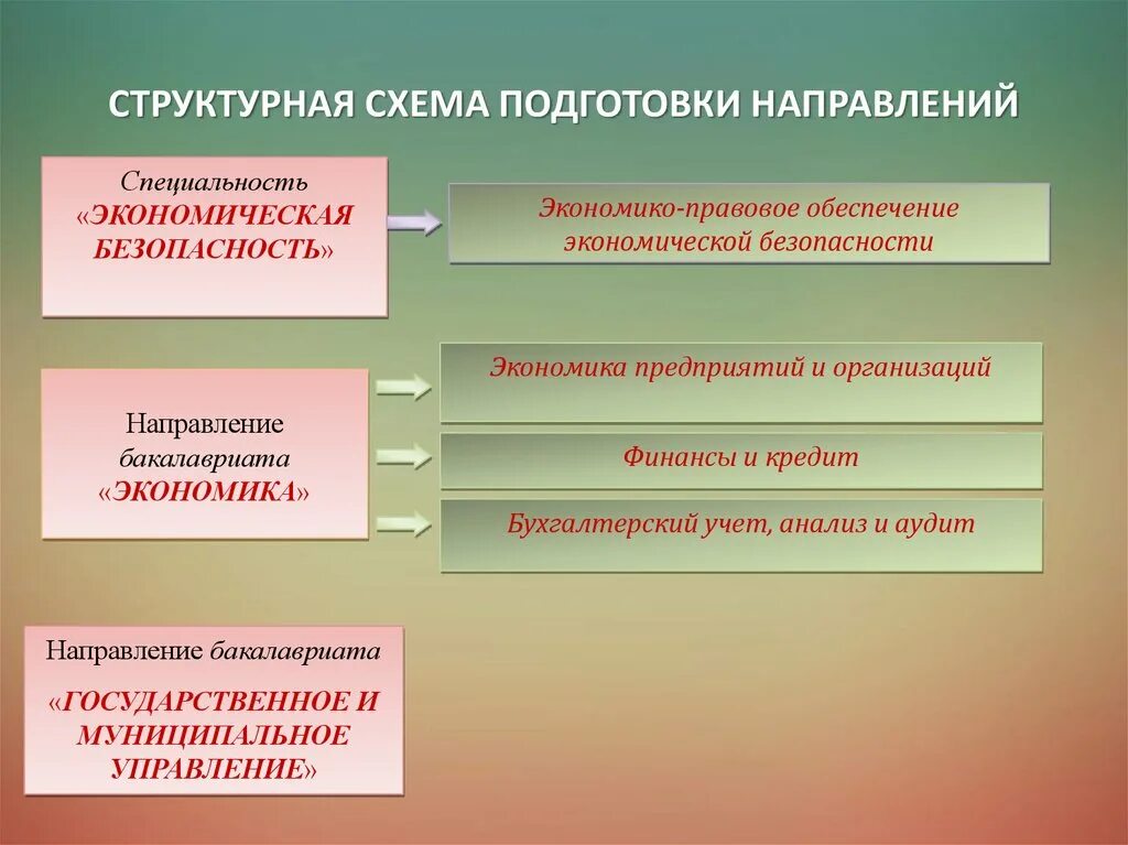 Направления специализации российской экономики. Направление подготовки экономика. Экономико-правовое обеспечение экономической безопасности. Направление подготовки это. Направление специальность.