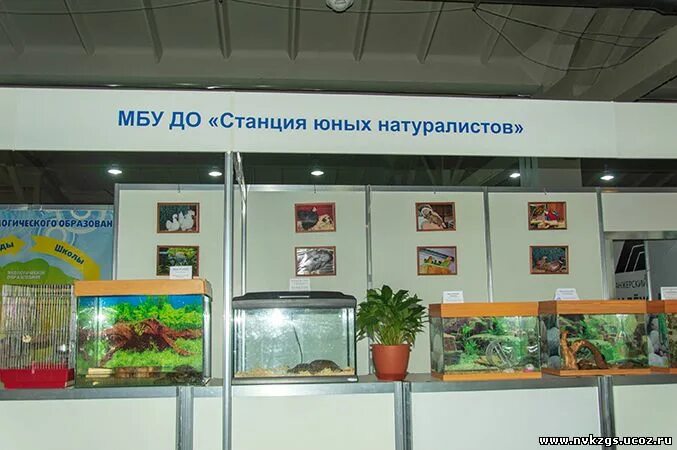 Магазин натуралист в екатеринбурге. Каталог магазина натуралист. Каталог семян магазнатуралист екатеринбург. Каталог магазина натуралист. Натуралист интернет магазин екатеринбург.