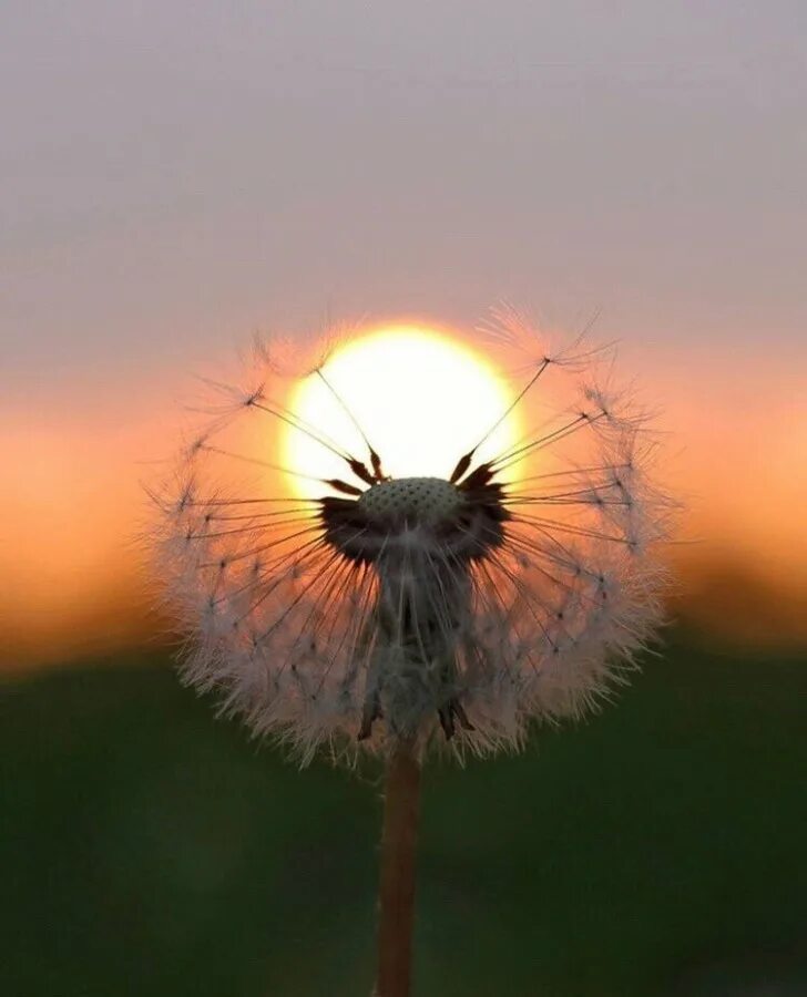 цитаты о лете. август это как вечер. цитаты про лето август. август воскресенье года. август как вечер воскресенья.