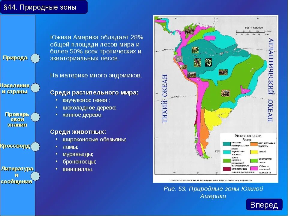 Основные особенности природных зон бразилии кратко. Природные зоны Южной Америки. Карта природных зон Южной Америки. Южн Америка природные зоны. Южная америкприродные зоны.