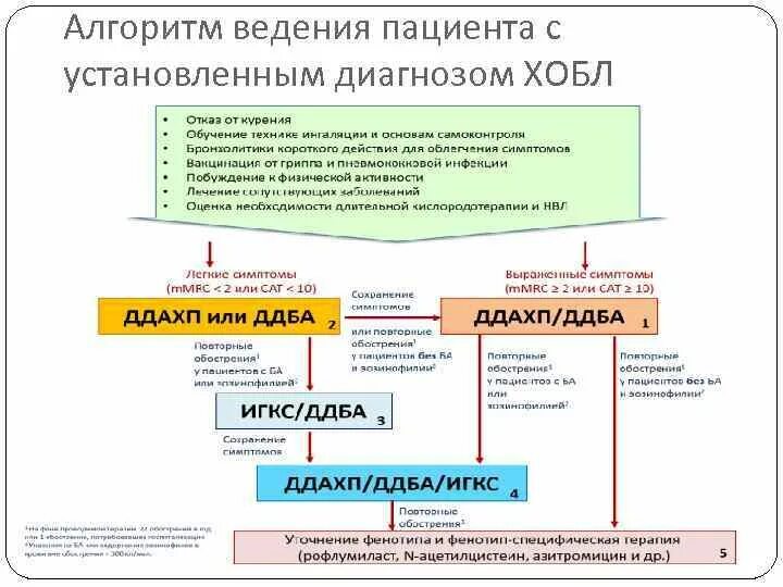 Ведение амбулаторных пациентов. Алгоритм ведения пациента с установленным диагнозом ХОБЛ. Алгоритм обследования больного с ХОБЛ. Алгоритм терапии ХОБЛ. ХОБЛ тактика ведения пациента.