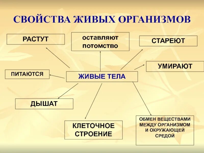 Процессы живого