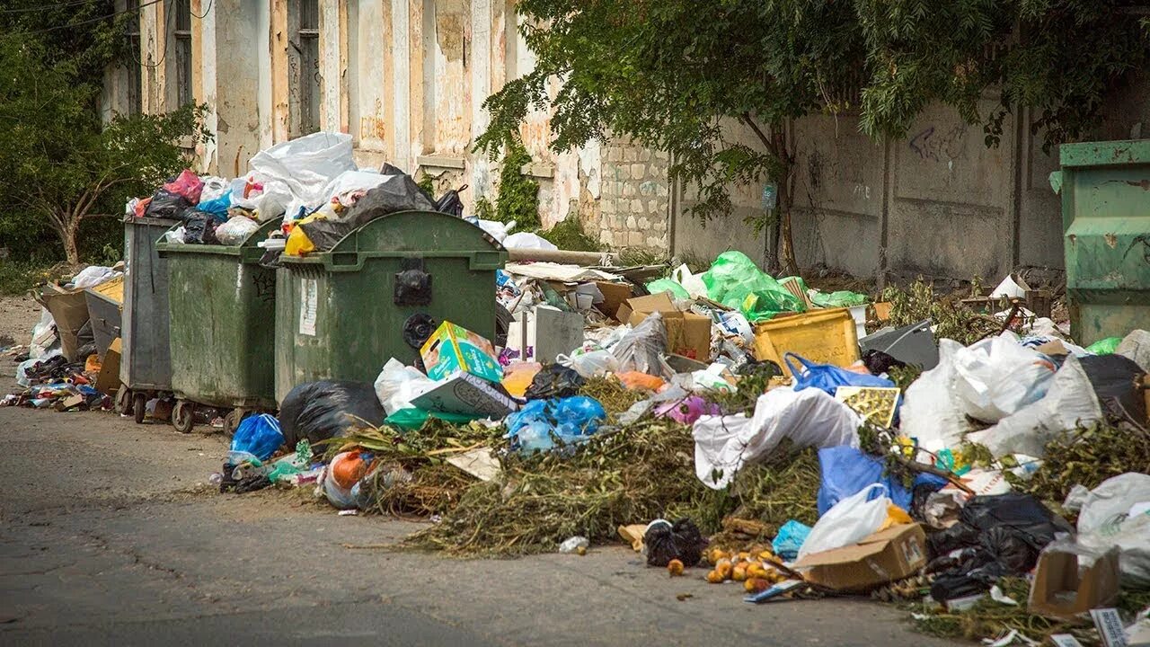 Мусорные баки. Мусорные баки в питере. Видео про мусорку. Цветы в помойке. Видео про мусорку.
