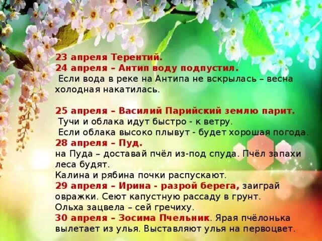 Какой сегодня праздник 11 апреля. 23 Апреля народный календарь. Приметы апреля. Праздники в апреле каждый день.