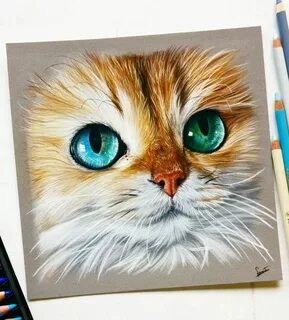 Нарисовать котика маркерами