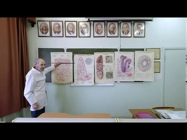 Рниму кафедра гистологии. Кафедра тестологии рудн. кафедра гистологии огу. частная гистология рудн. гордон рудн гистология.