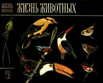 Жизнь животных 5