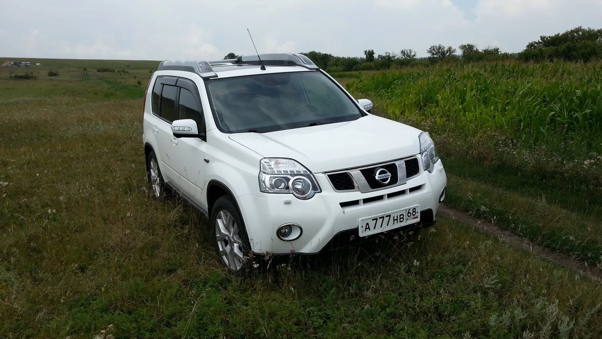 Nissan x Trail 2005 белый. Nissan x-Trail 2 2008 белый. Nissan x-Trail 2014 белый. Ниссан х-Трейл 2008 белый. X trail t31 отзывы